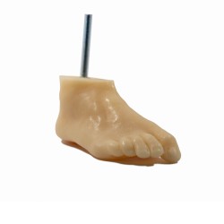 Fantom - model stopy podologicznej do ćwiczeń manulanych